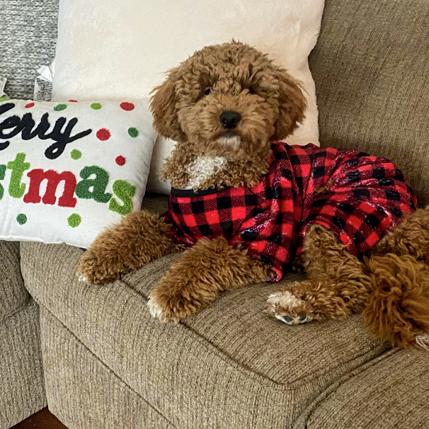 1st christmas