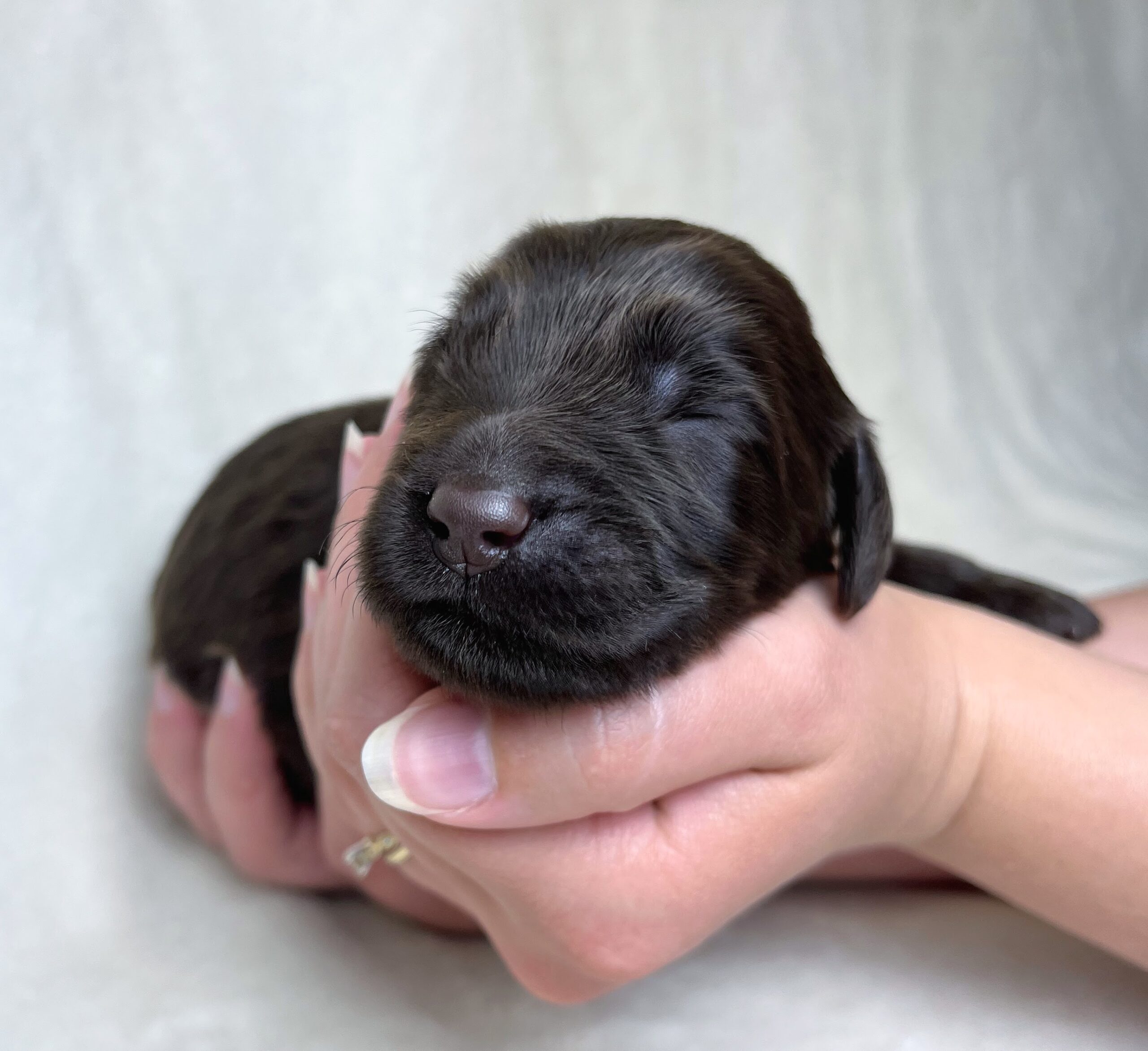Reese M 1 wk 2-4